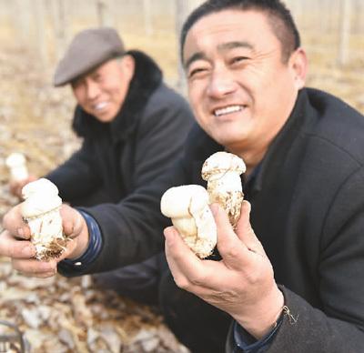 聊城最新招聘信息，变化带来自信，学习铸就未来之路
