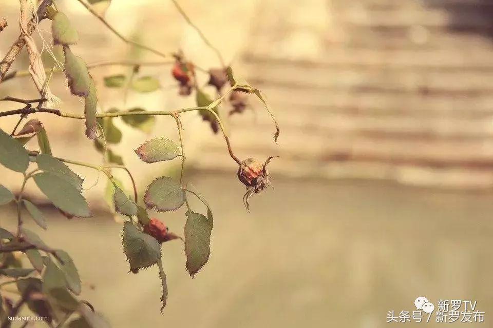 独特小巷风情