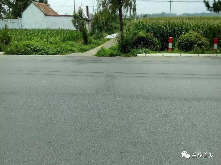 兰陵县最新动态更新，最新消息一览
