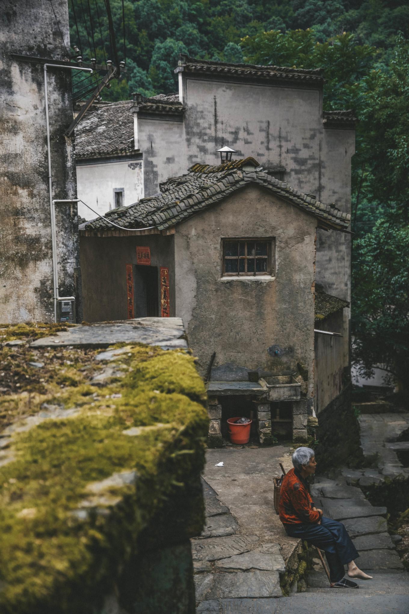 最新活牛价格与探索自然美景之旅的双重体验