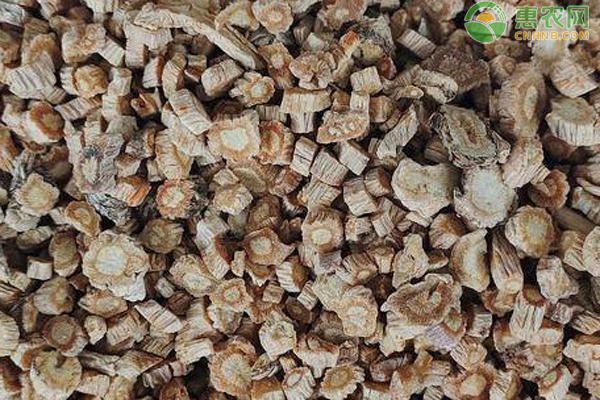 防风最新价格探索及小巷深处的独特风味