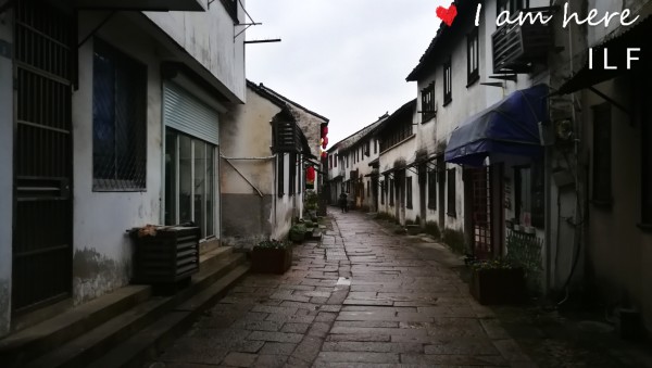 小巷深处的独特风味，最新无毒美食探秘
