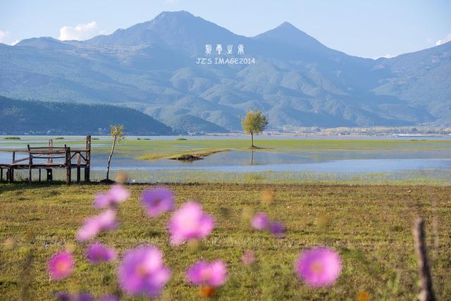 最新铃声下载与探索自然美景之旅，寻找内心平静的声音