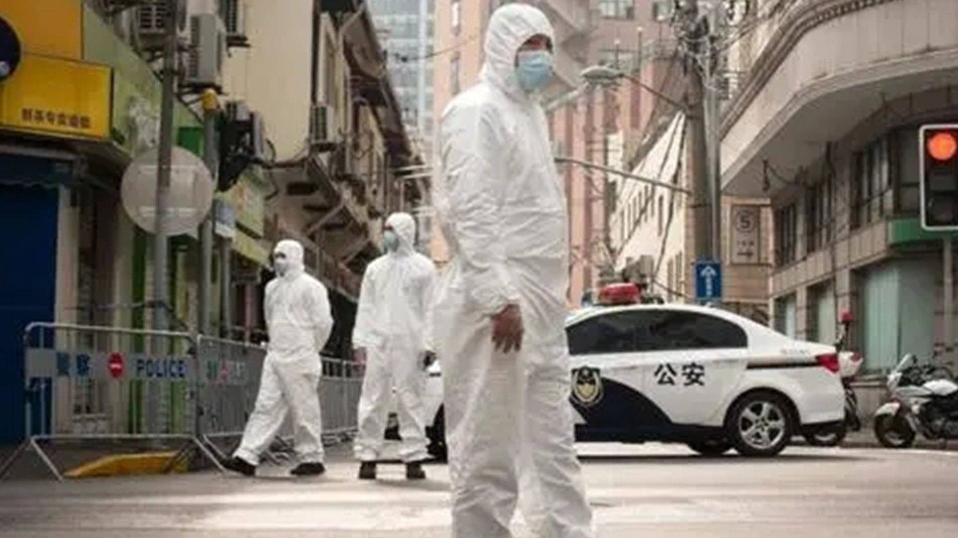 上海疫情控制下的隐秘小巷魅力，探寻特色小店