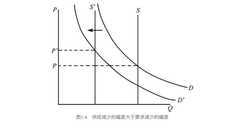 曲线潜规则的最新动态与观点论述