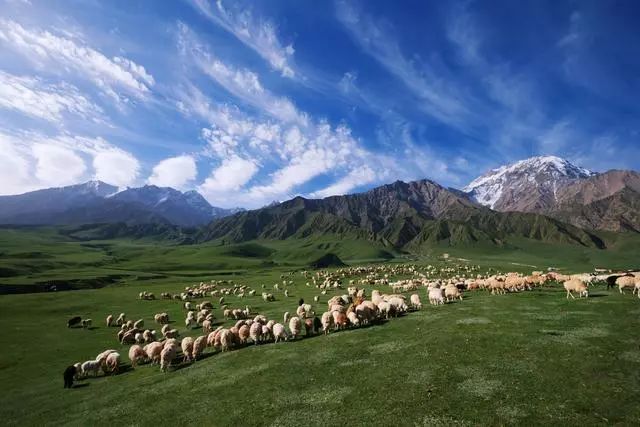 博最新网站，探索自然美景，寻找内心平和的轻松之旅