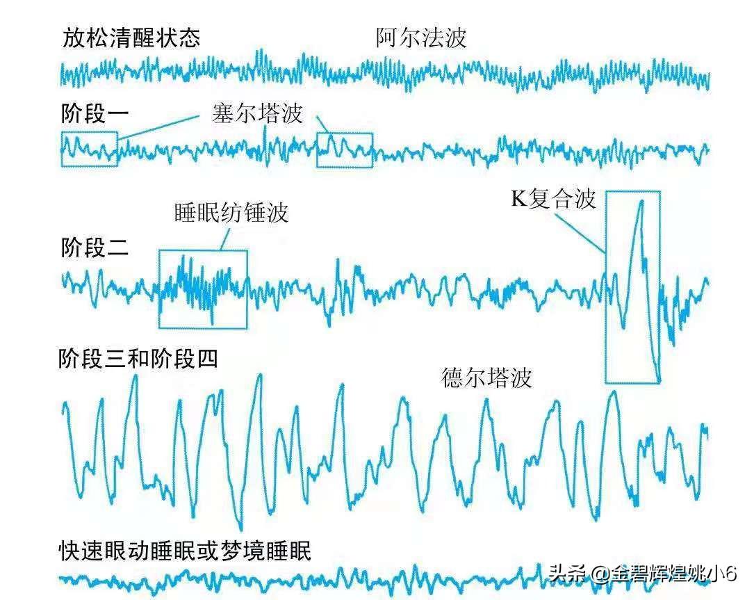 最新三和深度解析，背景、重要事件与地位探讨