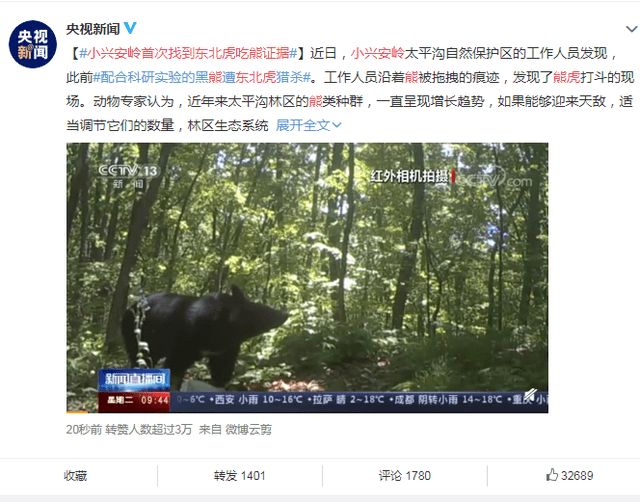 大磊最新视频，自然美景之旅，寻找内心的平和与治愈之旅