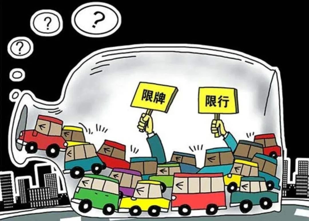 畜流感最新动态，消息背后的力量与励志之旅