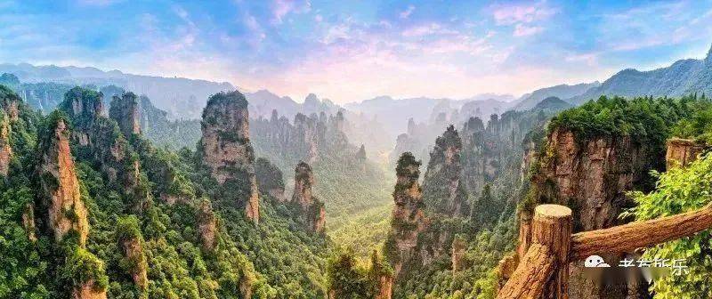 砀山县最新探索，自然美景的轻松之旅