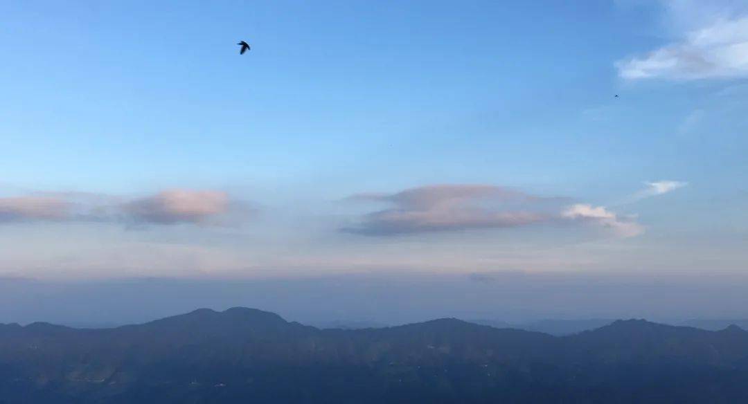 最新热门话题，探索自然美景的旅行，寻找内心的平和之地