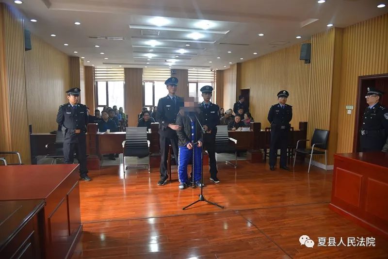 夏县张红宇案件最新动态揭秘，全面解析进展及最新动态🔍