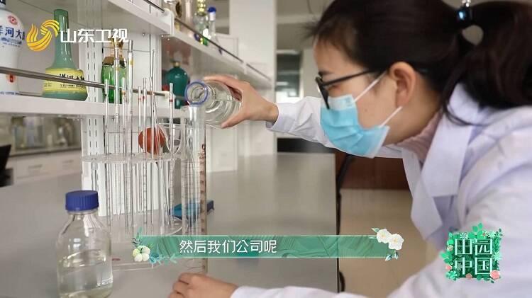 最新灵敏度分享码，小巷美食探秘之旅