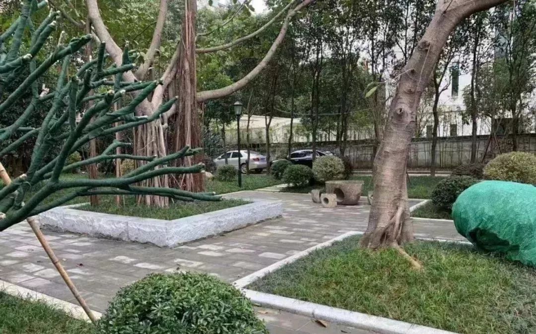 福州最新动态，小巷深处的惊喜