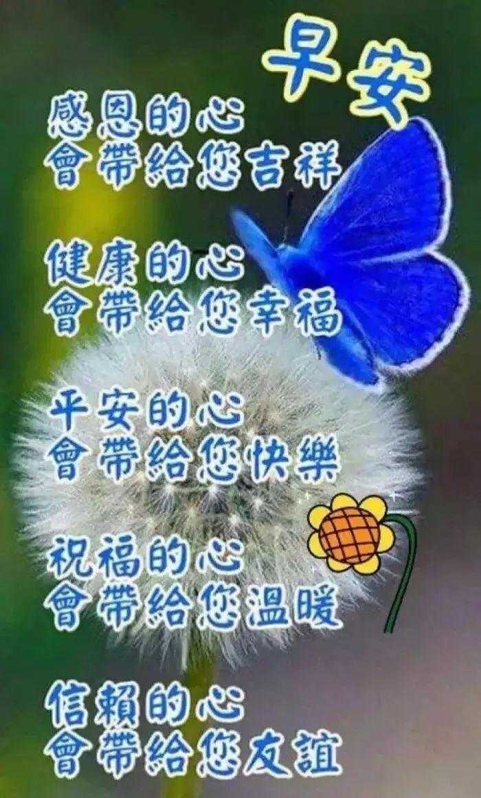 最新熊表情，与自然美景的轻松之旅，探寻内心平和的旅程