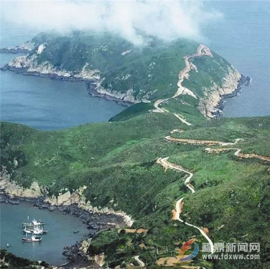 福鼎最新动态更新