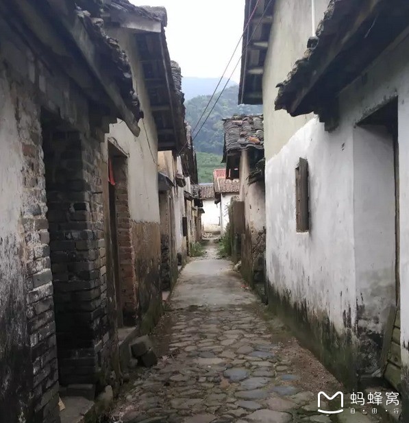 探索小巷深处的特色小店，最新扣扣头像分享