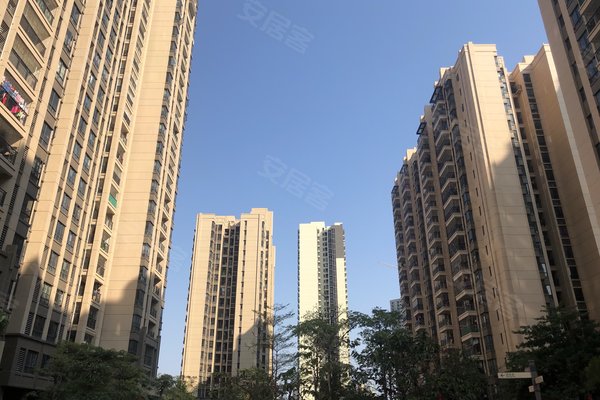 清远保利花园最新价格探讨与分析