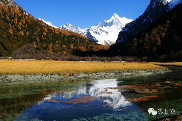 小四毛最新动态，自然美景探索之旅，心灵洗涤与重生之旅