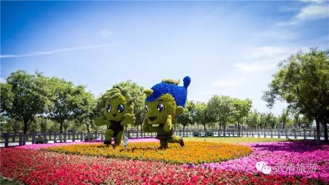 武清大黄堡最新动态，自然美景探索之旅的治愈体验