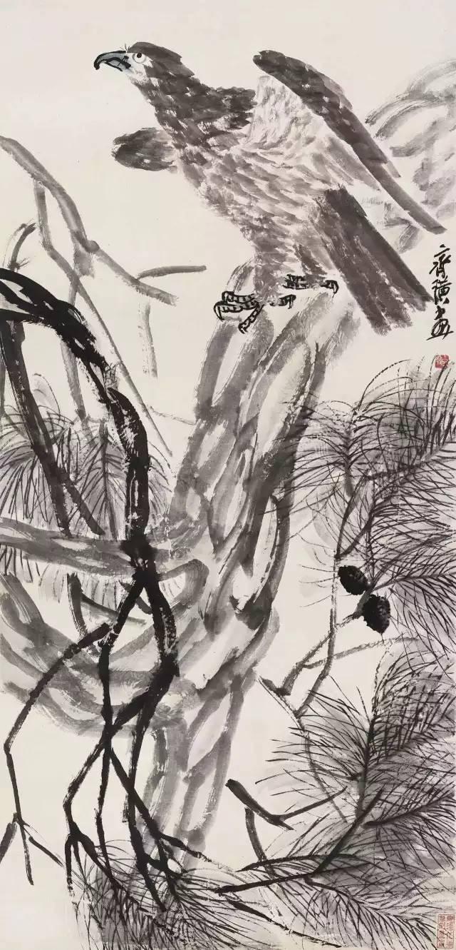 自然美景之旅，寻找内心的平和与宁静——嗷嗷啪最新体验