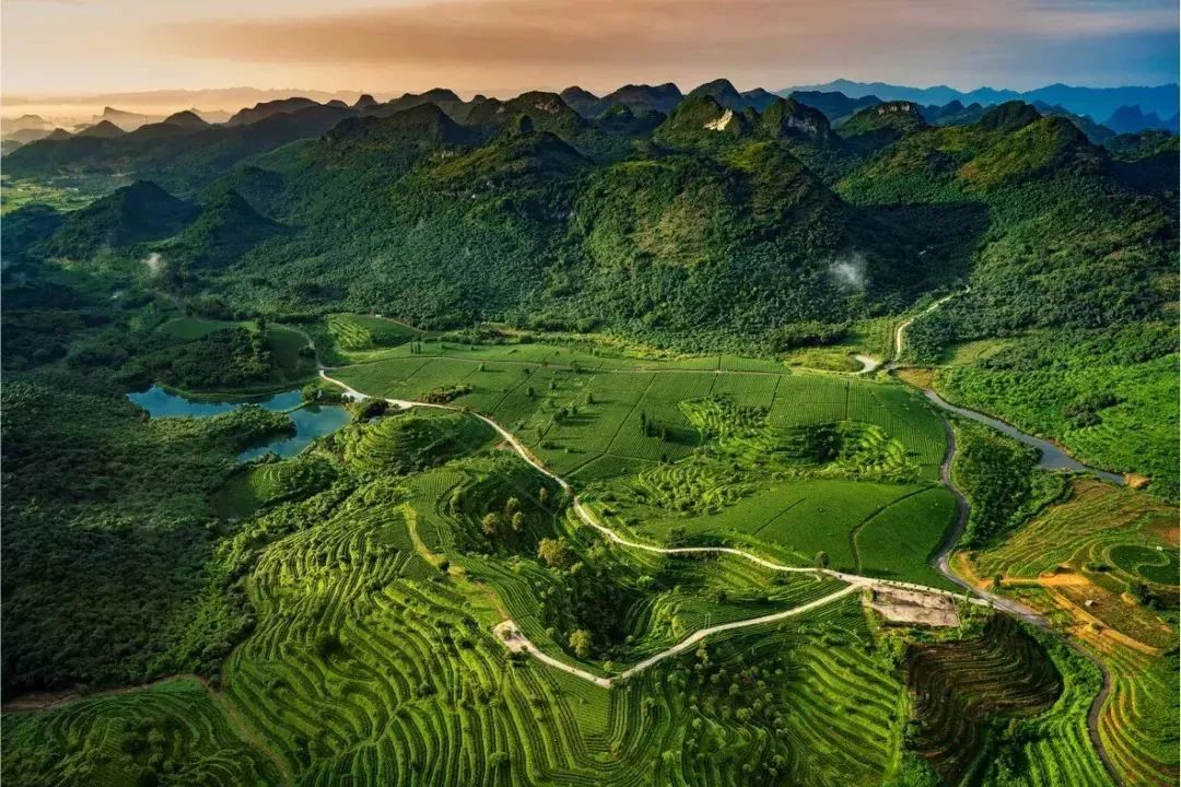 辽宁铁精粉最新价格，自然美景探索之旅的焦点话题