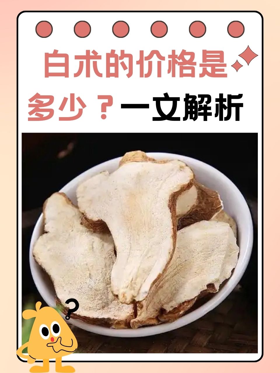 鲜白术最新价格探讨与分析