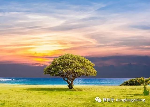 透景生命最新动态，自然美景探索之旅启程！