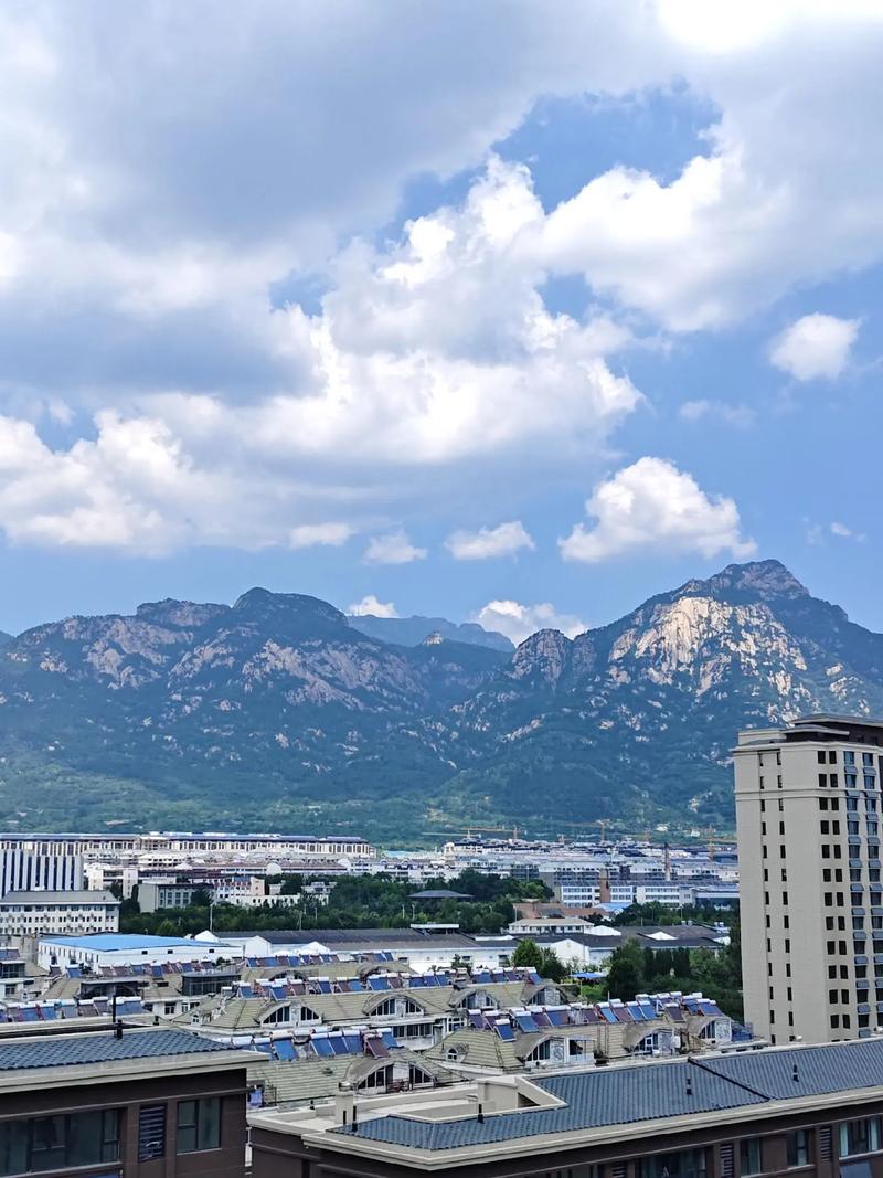 泰安高新区日常趣事与朋友间的陪伴与爱最新消息