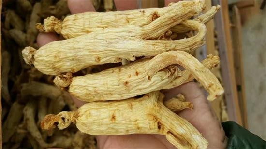 人参价格最新动态，影响因素分析与市场趋势解读