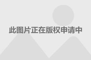 最新嫁接睫毛技术，时尚之选，美丽新境界的秘籍