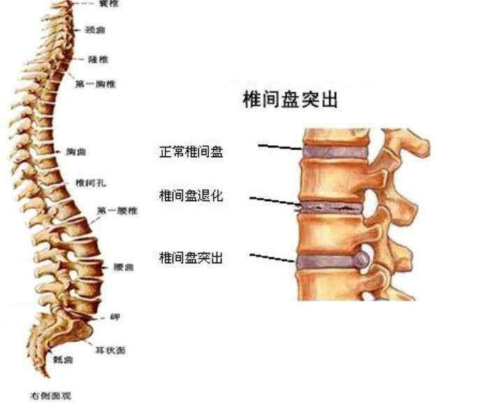 最新腰椎盘知识与小巷深处的独特魅力