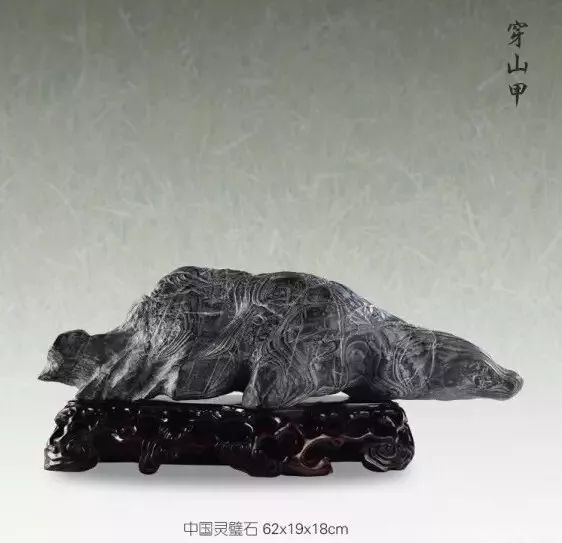 最新奇石图片，大自然的鬼斧神工与收藏魅力探秘