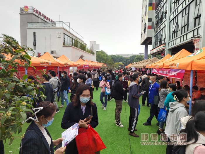 大良最新招聘信息概览