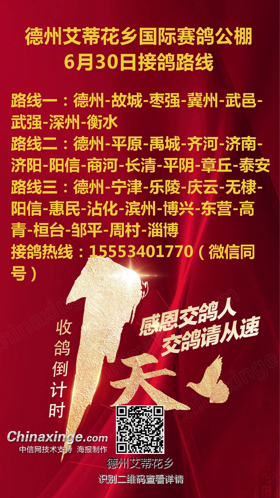 德州公棚最新公告发布，赛事更新、规则调整及参赛指南全解析