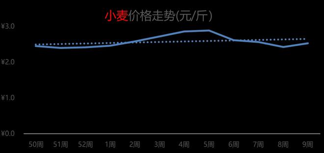 山东麦子价格最新行情，机遇与自我超越的力量探索