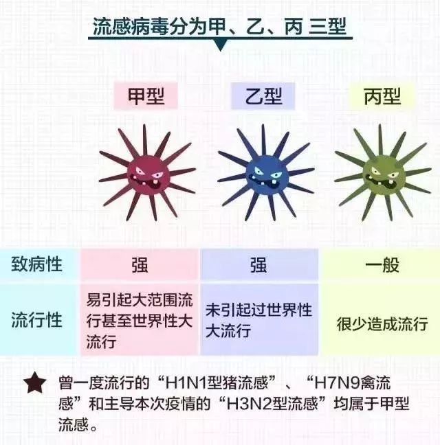 最新流感病毒2017深度解析，多方观点与个人立场探讨