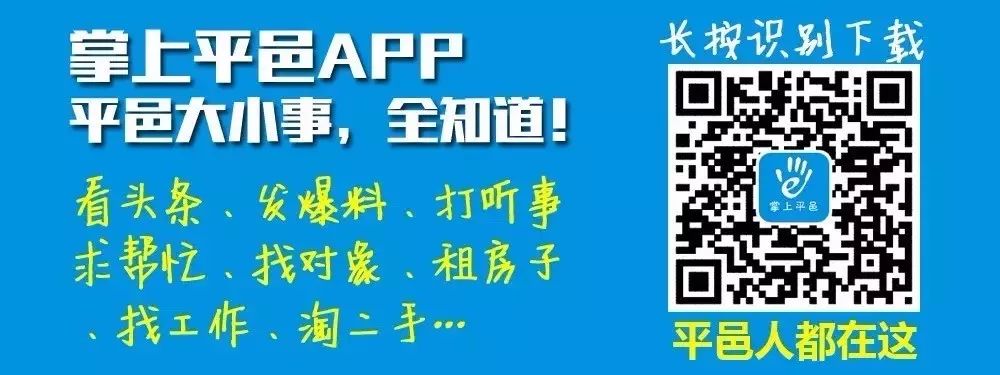 镇平贴吧最新动态揭秘，获取最新资讯与活动的一站式指南