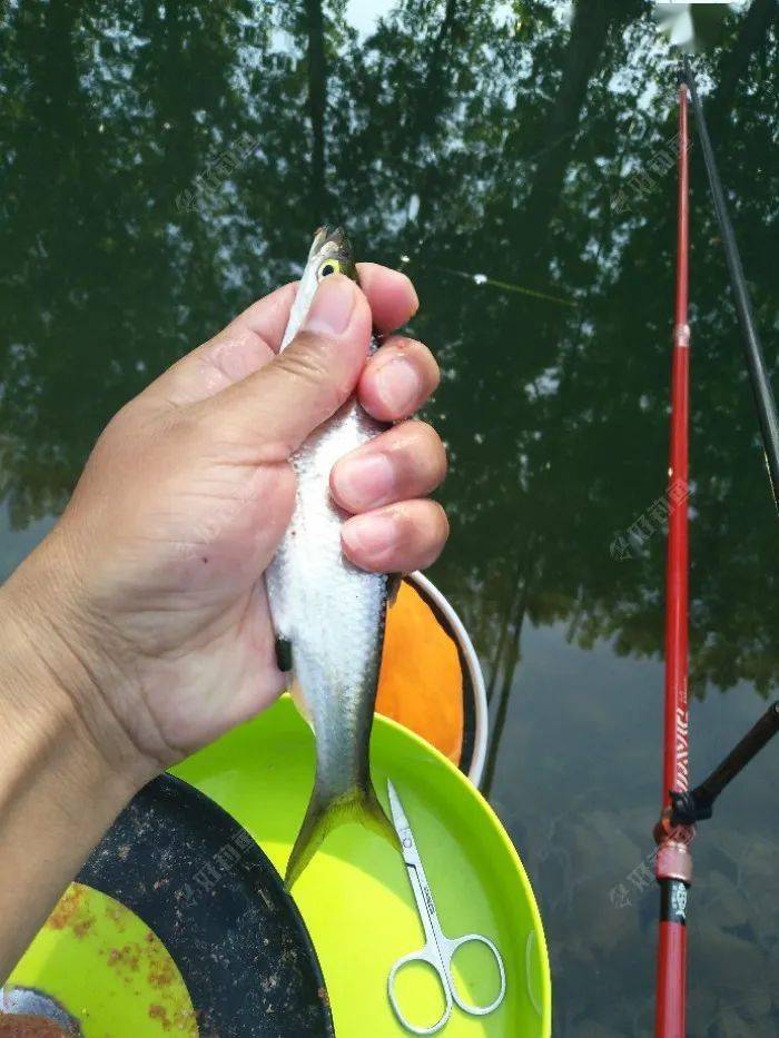 夏日水乐园的欢乐时光，水皮最新文章综述
